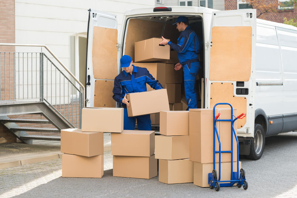 High-quality Moving Leads