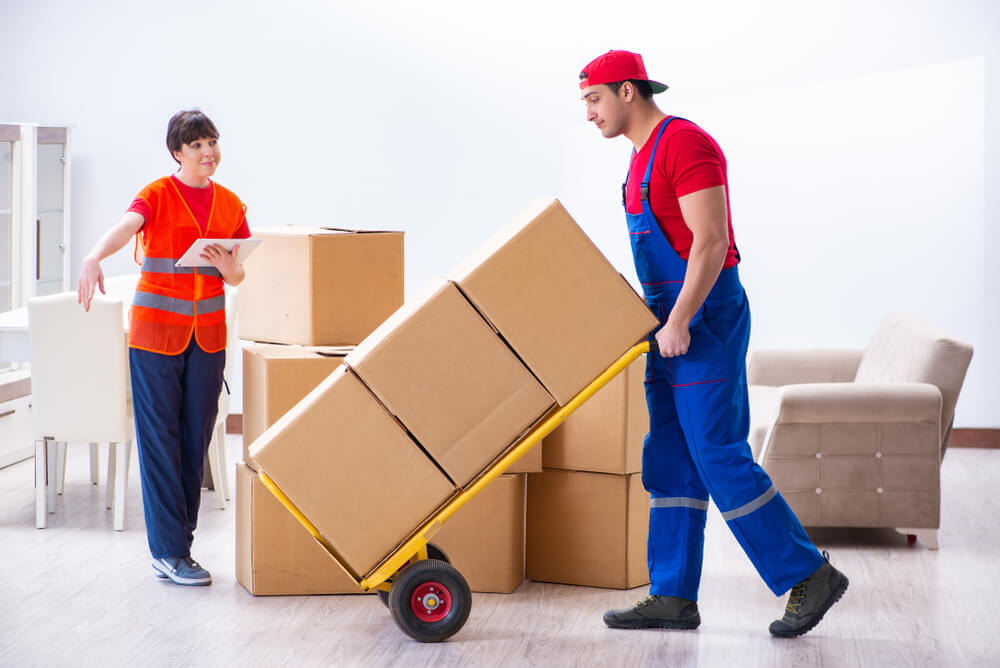 Long Distance Moving Specialists Hastings